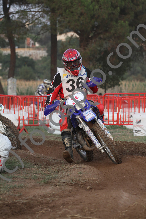 6510IMG_6819