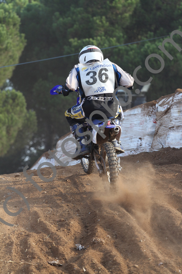 4599IMG_7218