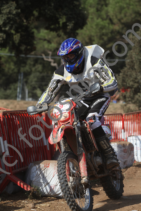 6338IMG_7687