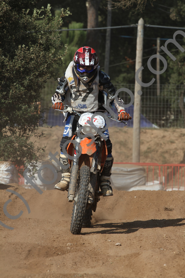 6631IMG_7643