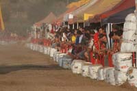 9577IMG_8008