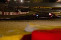 4145IMG_1890